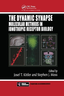 The Dynamic Synapse