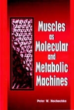 Muscles as Molecular and Metabolic Machines