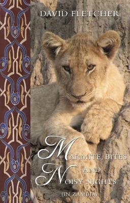 Marmite, Bites and Noisy Nights (in Zambia)