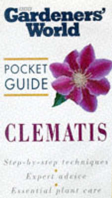 Clematis