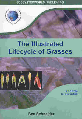 The Illustrated Lifecycle of Grasses the