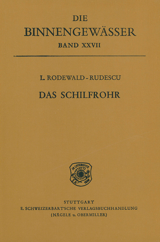 Das Schilfrohr