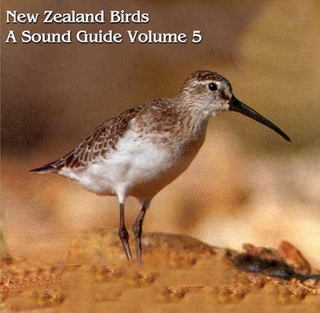 New Zealand Birds: a Sound Guide