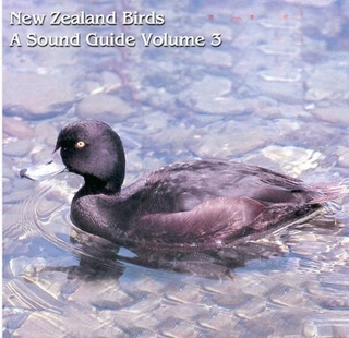 New Zealand Birds: a Sound Guide