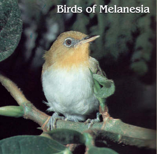 Birds of Melanesia