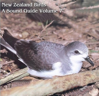 New Zealand Birds: a Sound Guide