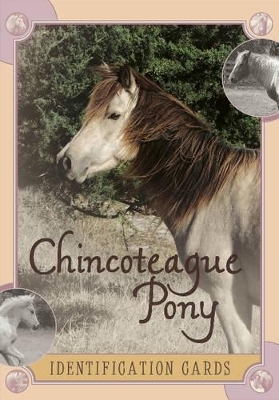 Chincoteague Pony Identification Cards - Lois Szymanski