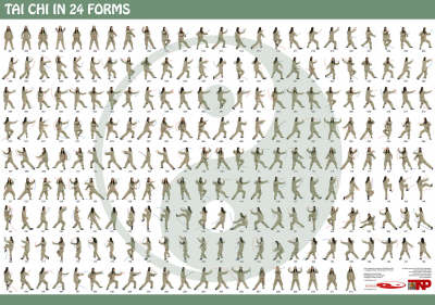 Tai Chi in 24 Forms - Xuelong Li