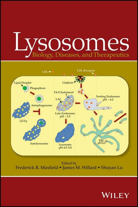 Lysosomes - 
