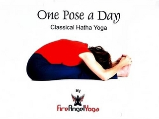 One Pose a Day
