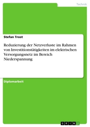 Reduzierung der Netzverluste im Rahmen von Investitionst&auml;tigkeiten im elektrischen Versorgungsnetz im Bereich Niederspannung - Stefan Trost