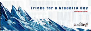 Tricks for a Blue Bird Day
