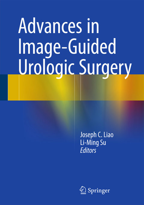 Advances in Image-Guided Urologic Surgery - 
