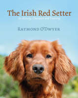 The Irish Red Setter