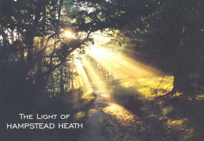 The Light of Hampstead Heath - 
