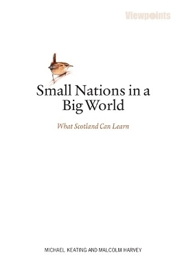 Small Nations in a Big World - Michael Keating, Malcolm Harvey