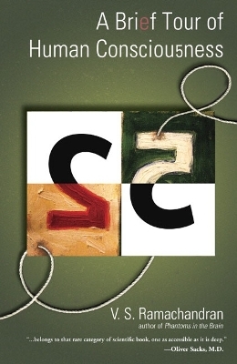 A Brief Tour of Human Consciousness