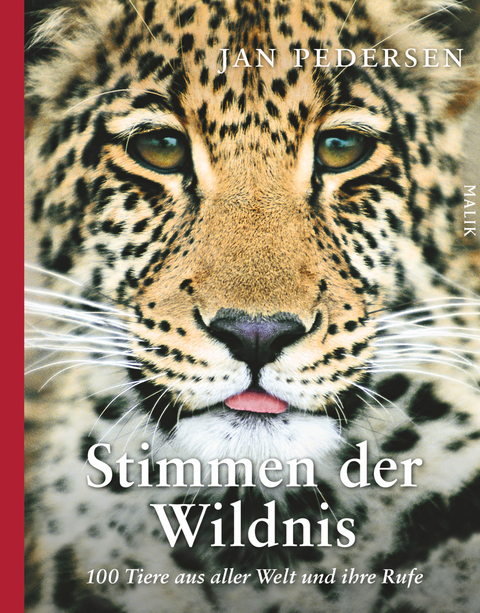 Stimmen der Wildnis - Jan Pedersen