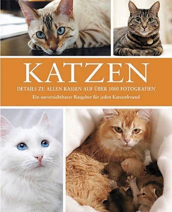 Katzen - Candida Frith-Macdonald