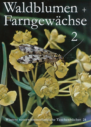 Unsere Waldblumen und Farngewächse