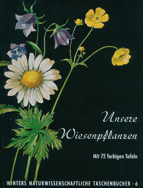 Unsere Wiesenpflanzen - Werner Rauh