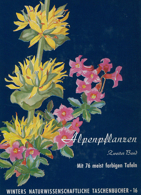 Alpenpflanzen - Werner Rauh