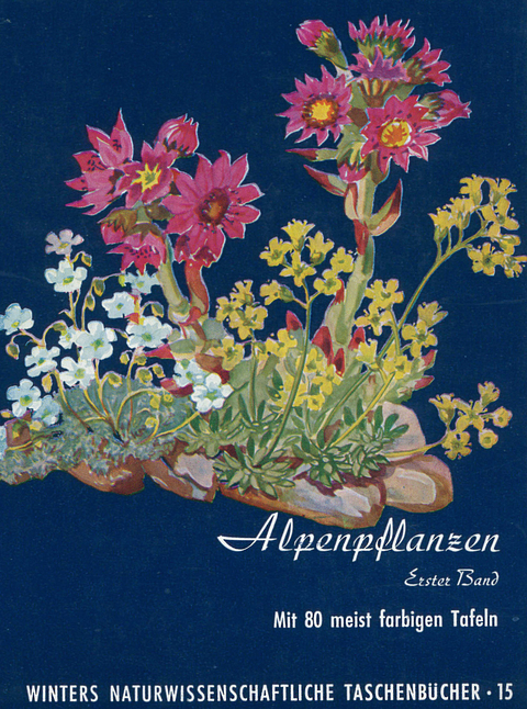 Alpenpflanzen - Werner Rauh