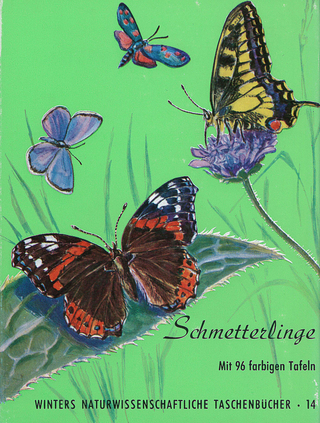 Schmetterlinge