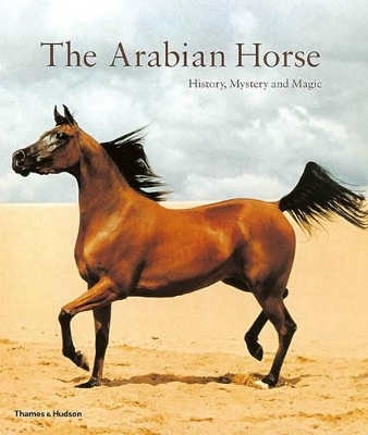 The Arabian Horse - 