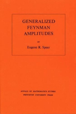 Generalized Feynman Amplitudes