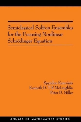 Semiclassical Soliton Ensembles for the Focusing Nonlinear Schr&ouml;dinger Equation - Spyridon Kamvissis, Kenneth Dean T-R McLaughlin, Peter D. Miller
