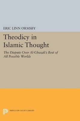 Theodicy in Islamic Thought - Eric Linn Ormsby