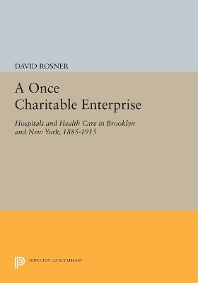 A Once Charitable Enterprise - David Rosner