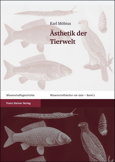 &Auml;sthetik der Tierwelt - Karl M&ouml;bius