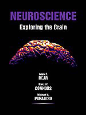 Neuroscience - Mark F. Bear, Barry W. Connors, Michael A. Paradiso