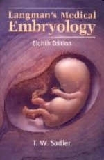 Langman's Medical Embryology - Jan Langman, Thomas W. Sadler