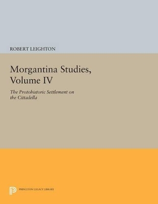 Morgantina Studies, Volume IV - Robert Leighton