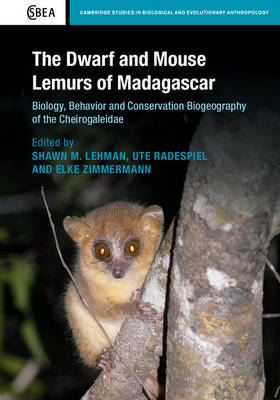 Dwarf and Mouse Lemurs of Madagascar