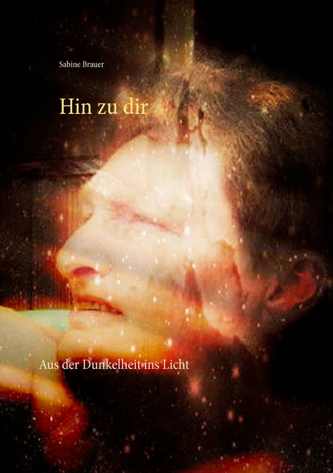 Hin zu dir - Sabine Brauer