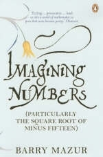 Imagining Numbers - Barry Mazur