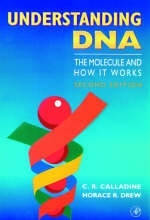 Understanding DNA - 