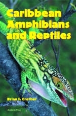 Caribbean Amphibians and Reptiles - 