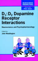 D1: D2 Dopamine Receptor Interactions