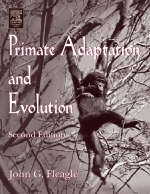 Primate Adaptation and Evolution