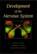 Development of the Nervous System - Dan H. Sanes, Thomas A. Reh, William Harris