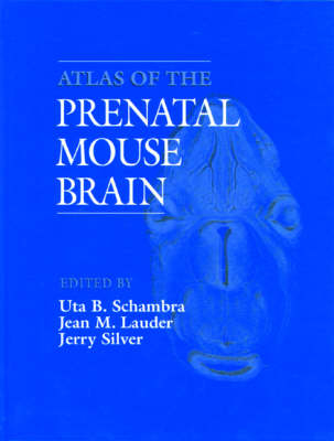 Atlas of the Prenatal Mouse Brain - Uta Schambra,  etc., Jean M. Lauder, Jerry Silver