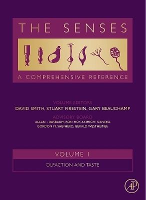 The Senses: A Comprehensive Reference