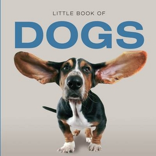 Little Book of Dogs