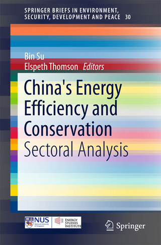 China's Energy Efficiency and Conservation