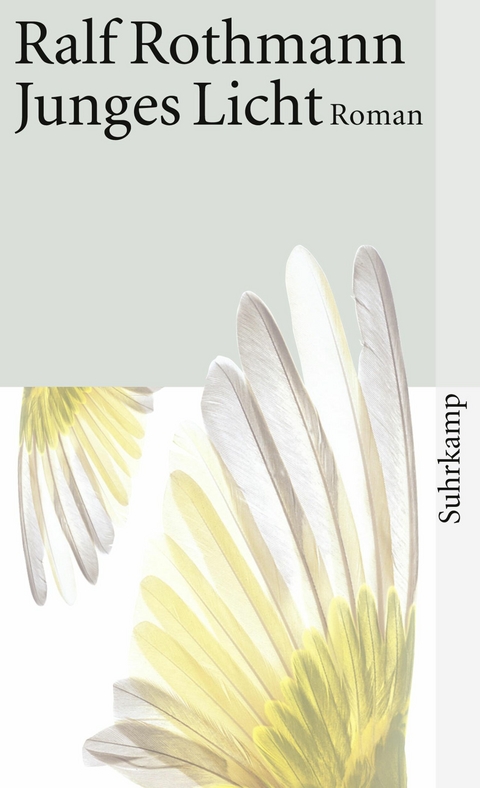 Junges Licht -  Ralf Rothmann